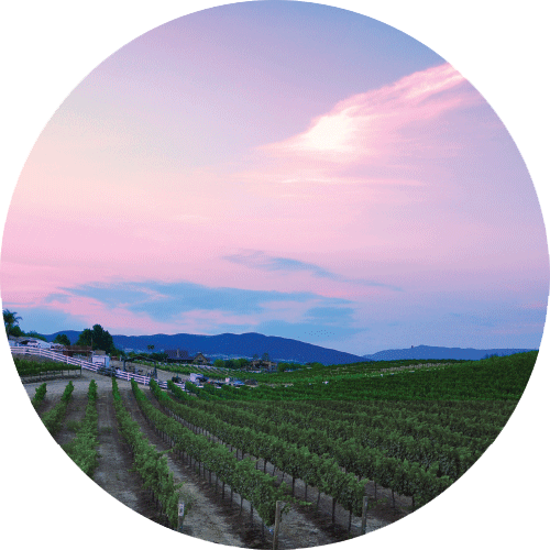 Temecula